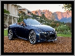 2021, Lexus LC 500, Cabrio