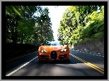 Bugatti Veyron, Droga, Las