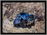 Ford F 150 Raptor, Seria XIII